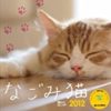 なごみ猫 2012年カレンダー届きました。